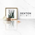 Revestimentos Dekton® - XGloss Solid Collection