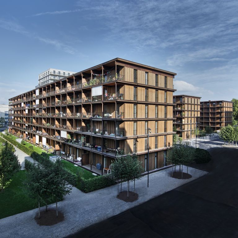 OSB Boards in Albisrieden Free Warehouse