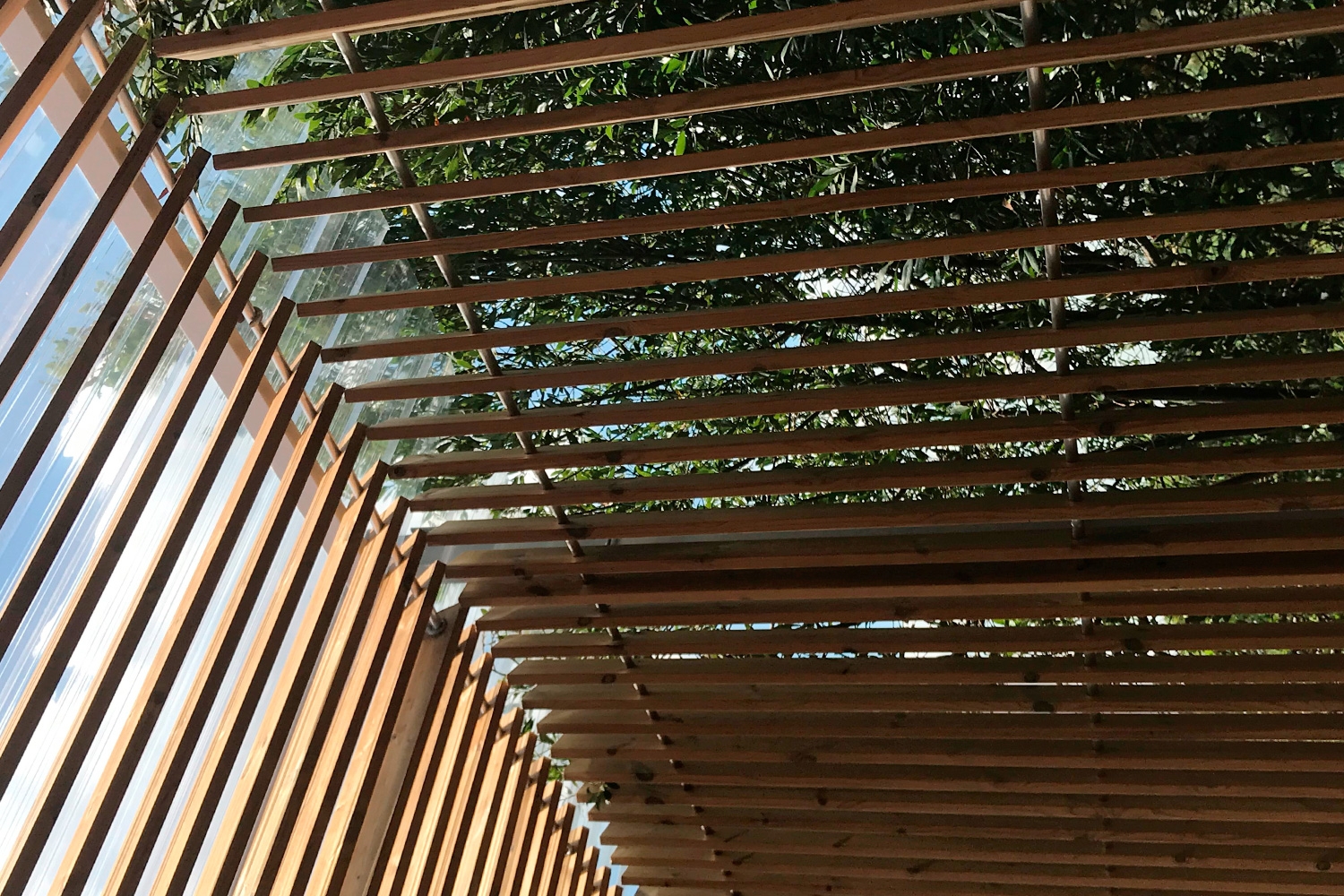 Thermowood Frames and Bearers