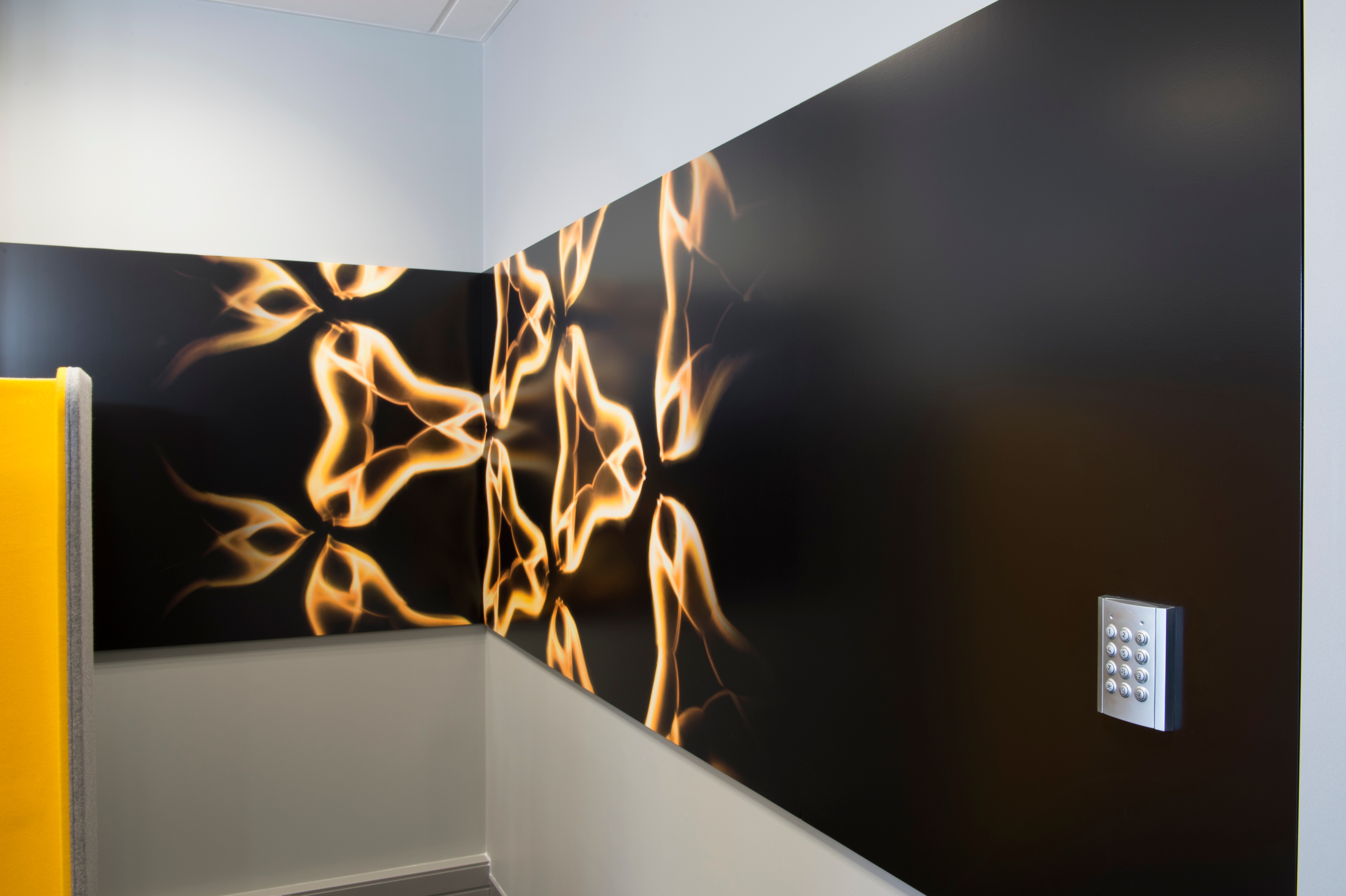 Panel Fastener for Drywall at ASB Bank in Auckland