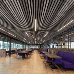 Acoustic Ceilings – HeartFelt® Linear Ceilings