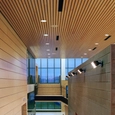 Wood – Solid Wood Linear Ceilings & Walls