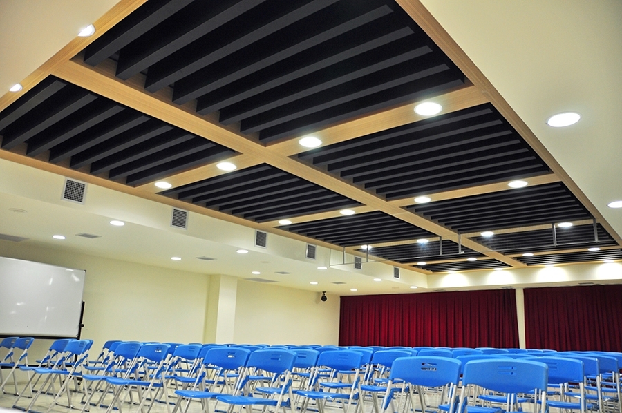 Micro-perforated Acoustic Panels - Silk Metal™