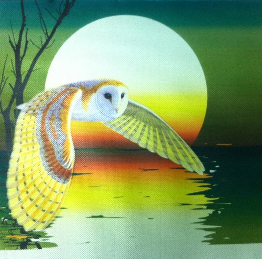 Micro-perforated Acoustic Panels - Silk Metal™