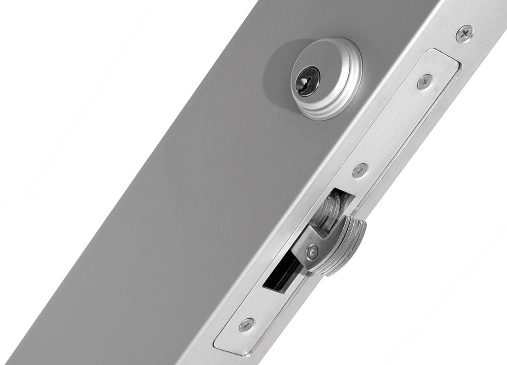 Series 980 Pivot Door - Classic Line