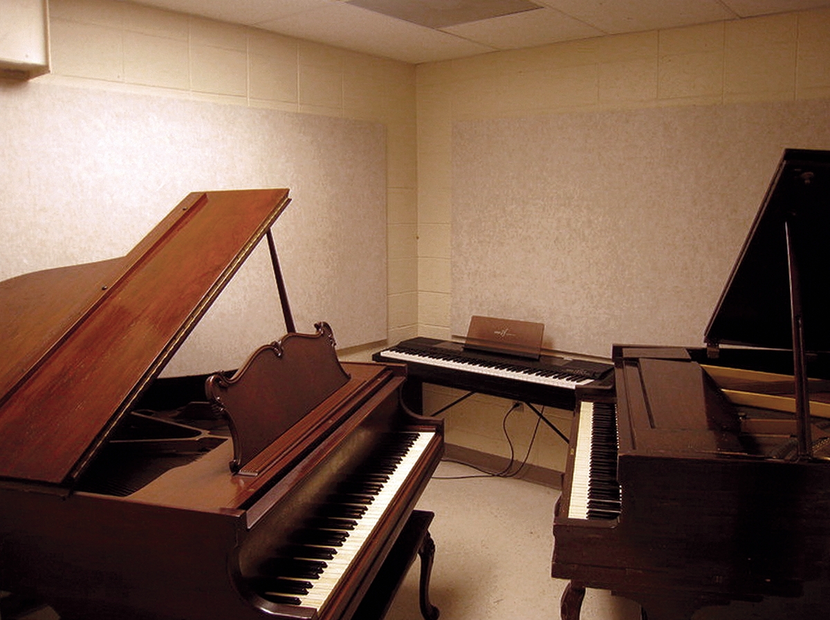 PET Felt Acoustic Panels - Poly Max™