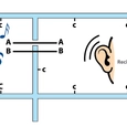 Guía: ¿Cómo Aislar Acústicamente con Sistemas de Yeso-Cartón?