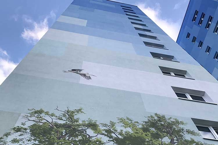 Mineral Paint - Soldalit System