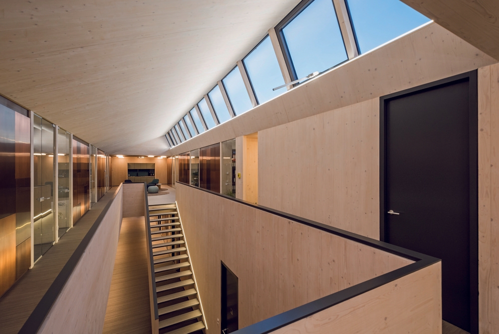 Wood Paint - Lignosil System