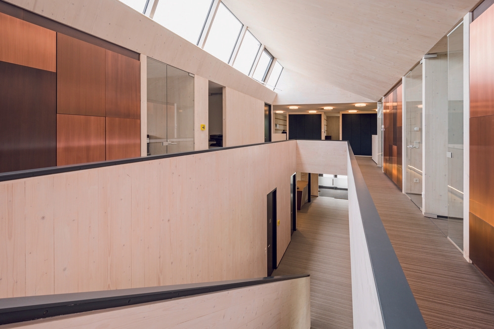 Wood Paint - Lignosil System