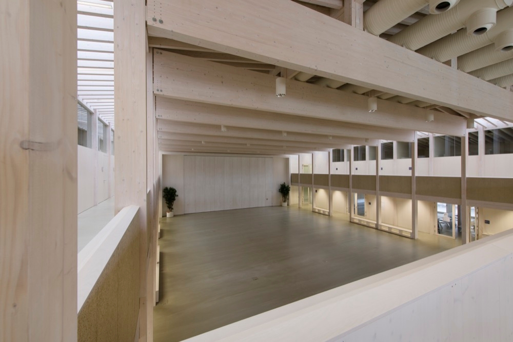 Wood Paint - Lignosil System