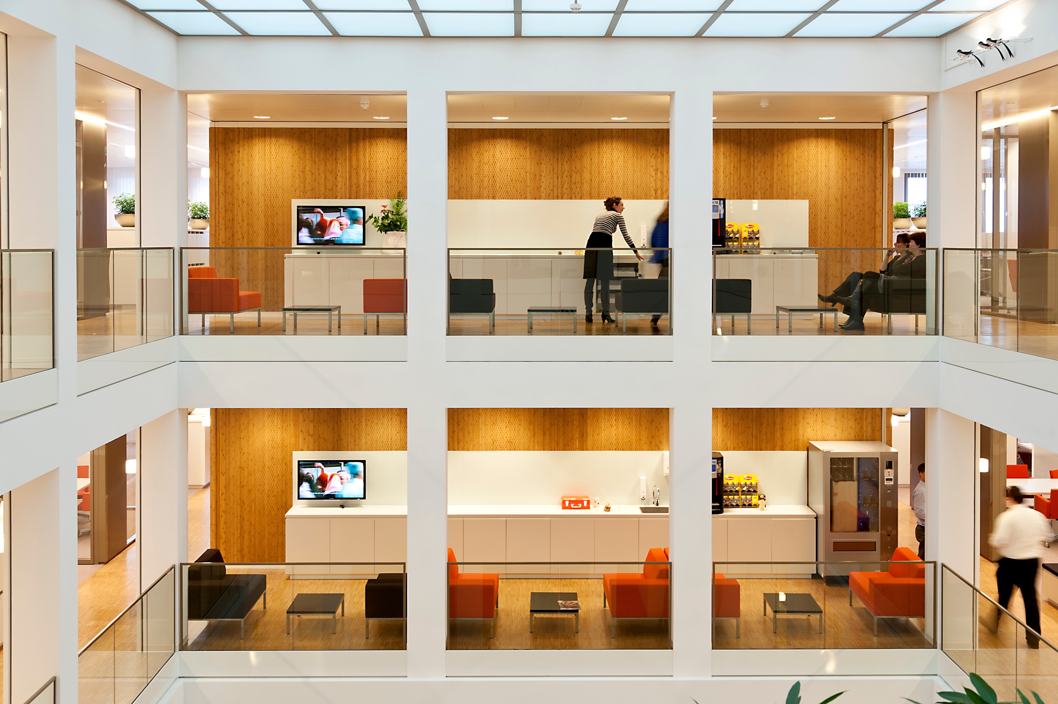 Wood – Veneered Wood Topline® Ceiling & Wall Panels