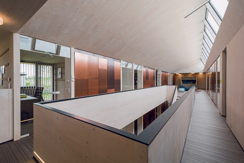 Interior Wood Stain - Lignosil®-Inco