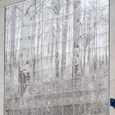 Metal Panels - Perforated Imaging