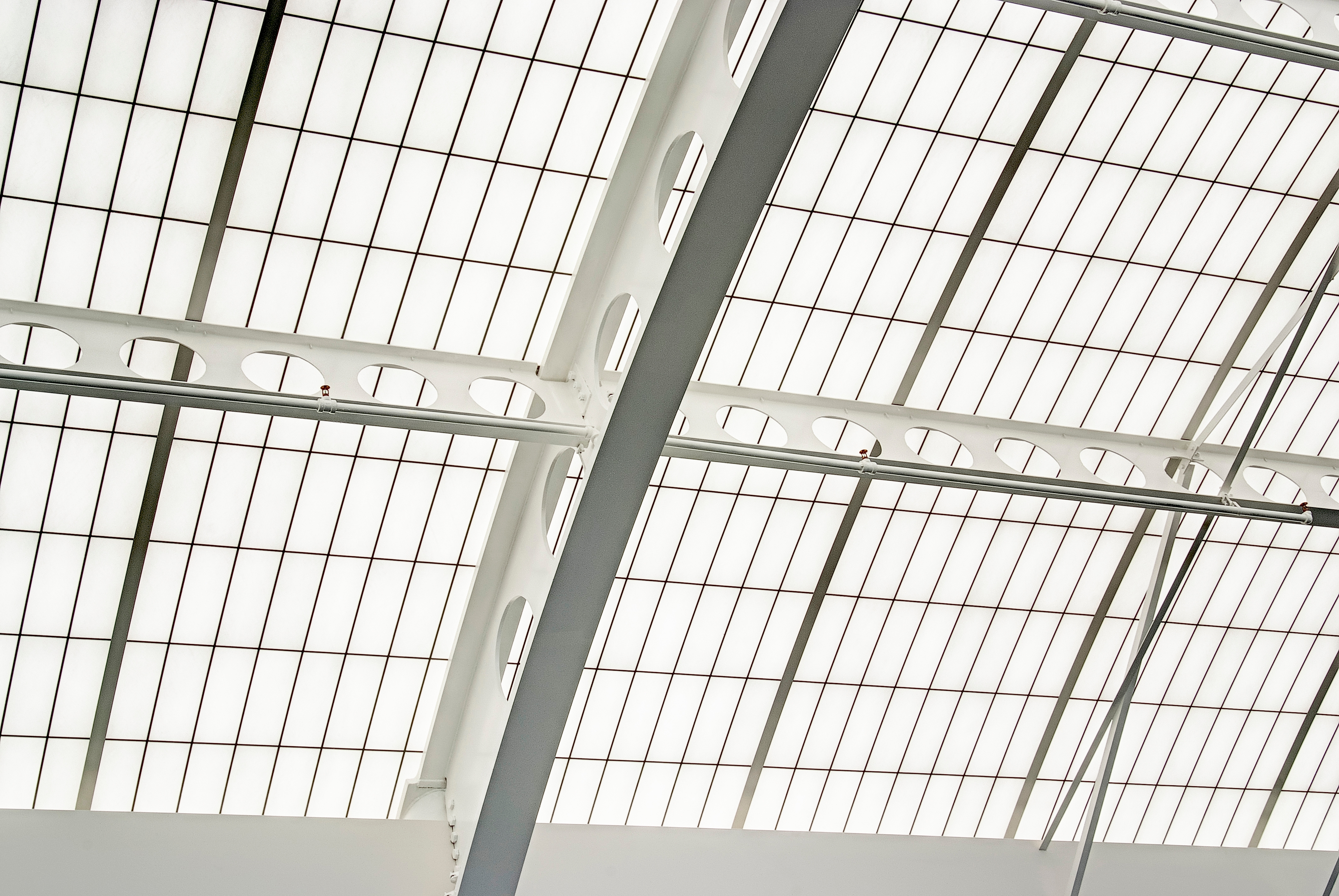 Skyroofs® - Specialty Skyroof® Applications