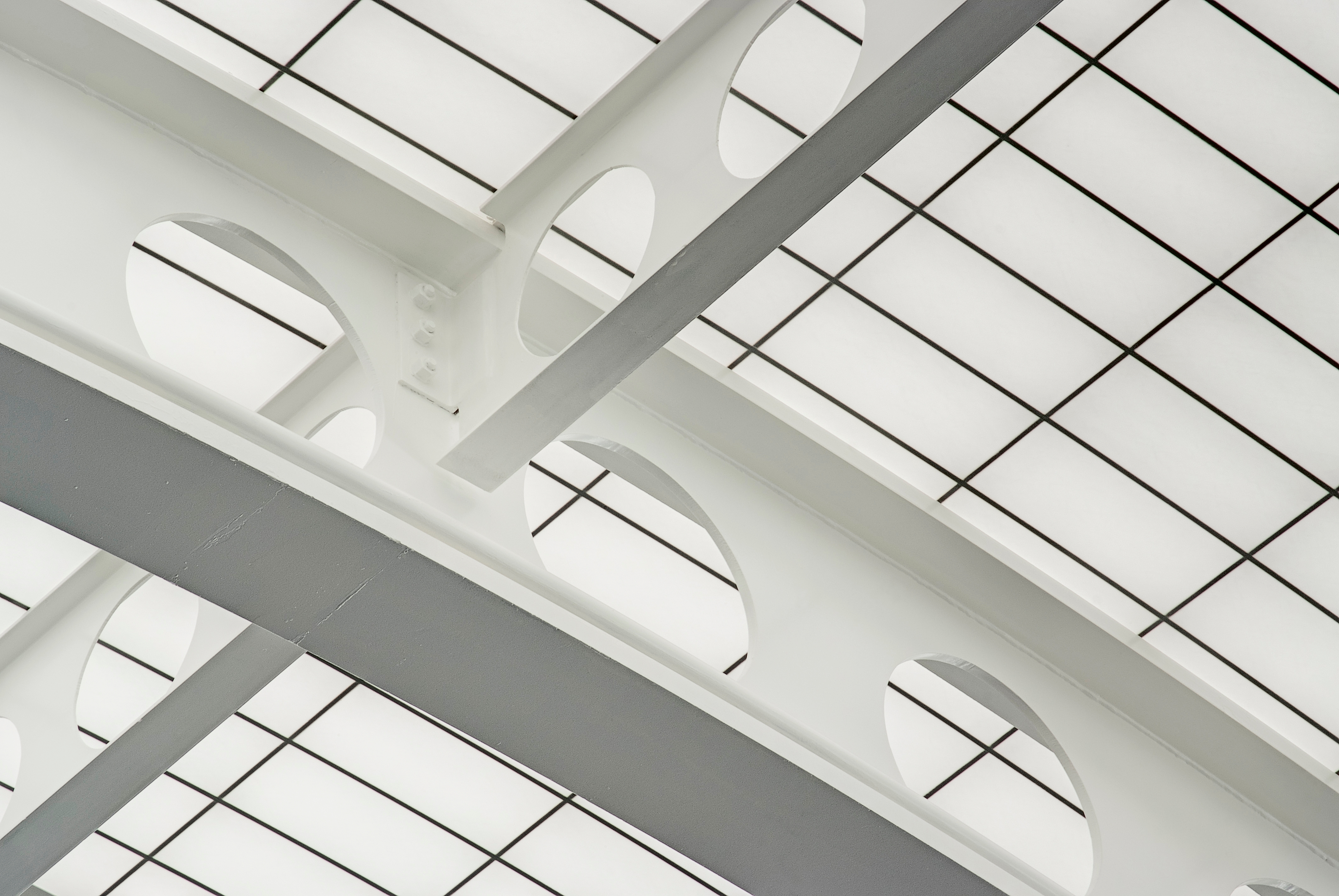 Skyroofs® - Specialty Skyroof® Applications