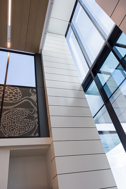 Wall System - HEDA Tough