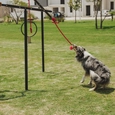 Parque perros BKT-DOG