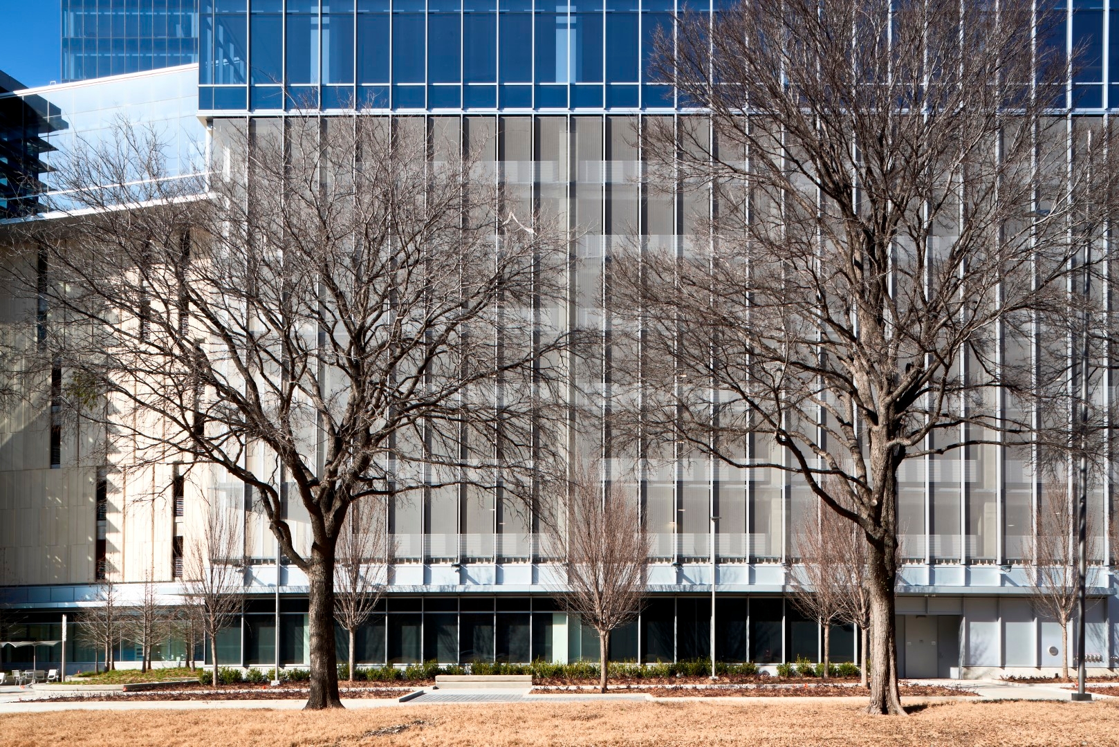 Architectural Wire Mesh - EGLA-MONO 5001