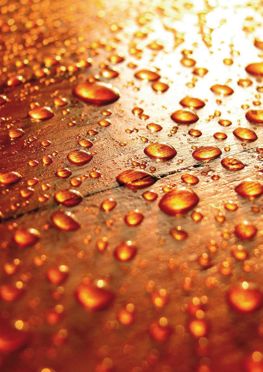 Protector de humedad para madera - Osmo Wood Protect