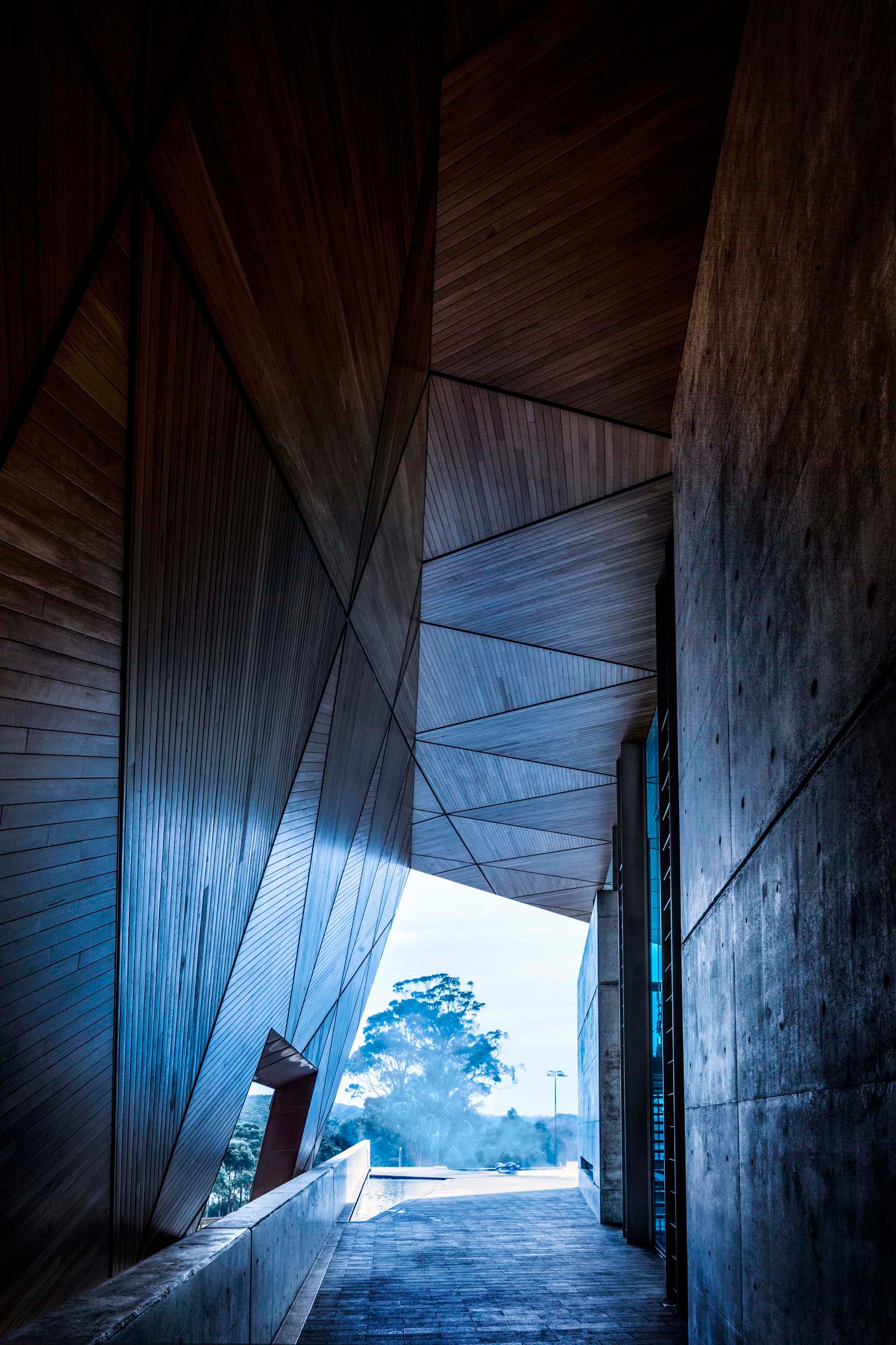 Timber Tongue and Groove Cladding