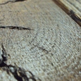 Pisos de madera de roble Moravia - ESCO