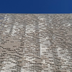 Custom Clay Wall Brick in Magna hotel