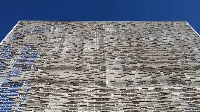 Custom Clay Wall Brick in Magna hotel