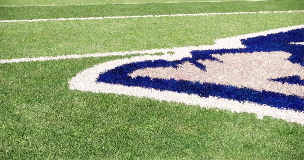 Best Practices - Grass in Architectural Design