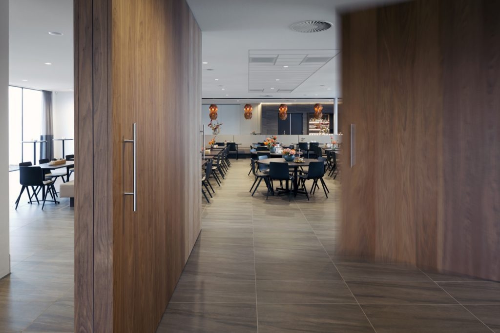 Pivot Hinges for Wooden Pivot Doors