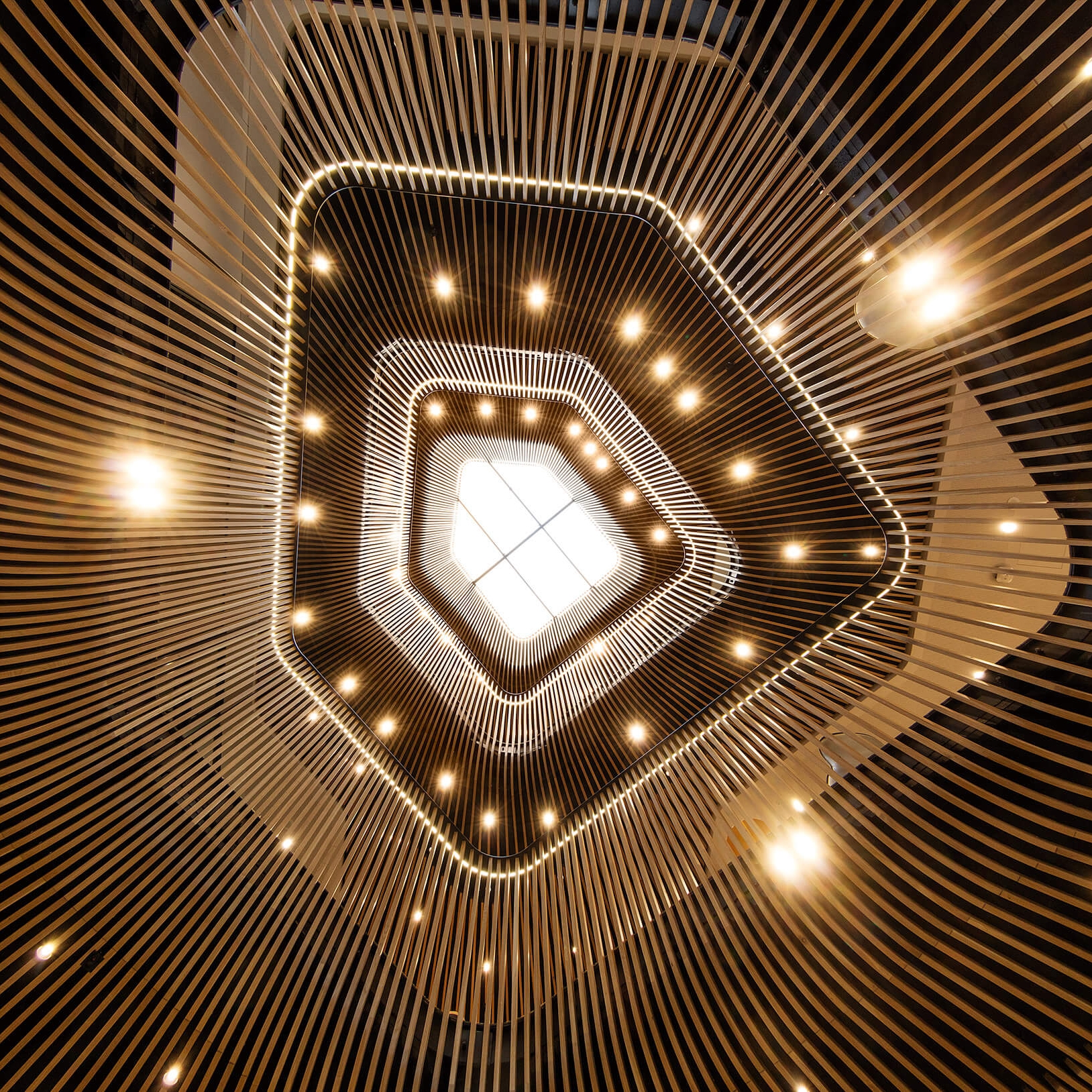 Timber Battens in Scotch College