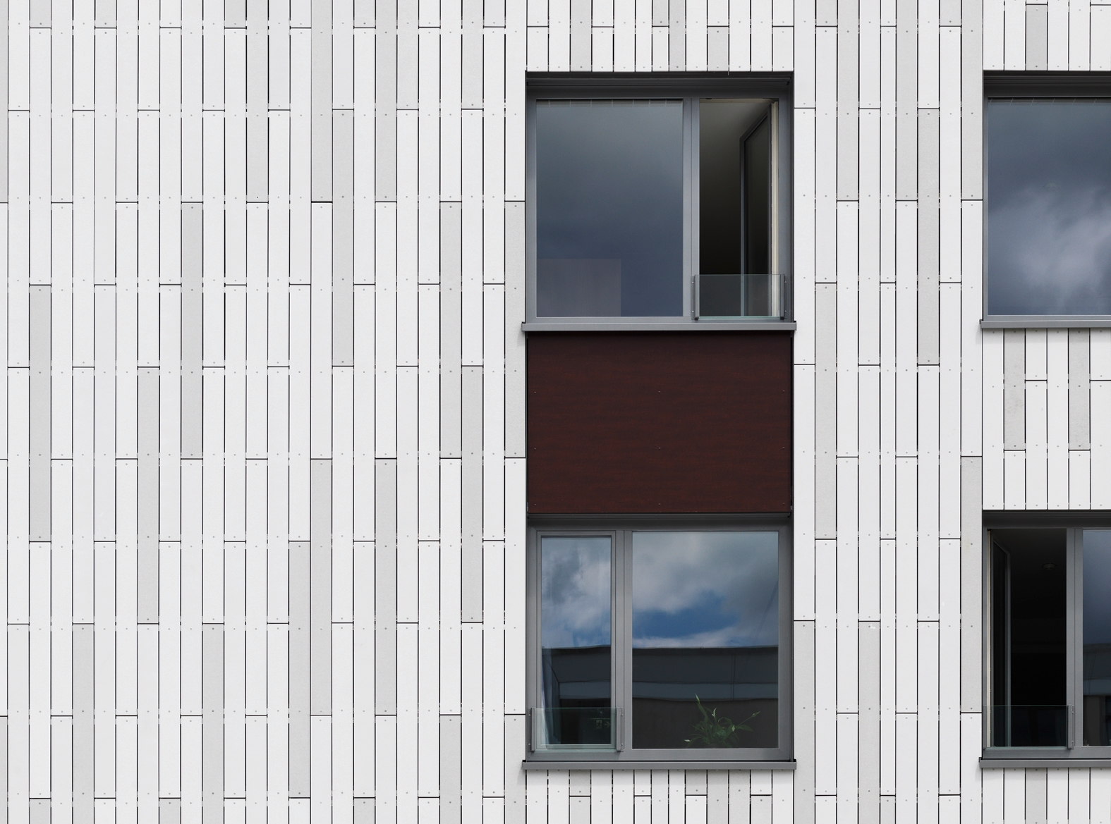 Concrete Facade - öko skin