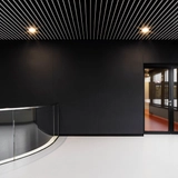 Acoustic Panel System in XFEL