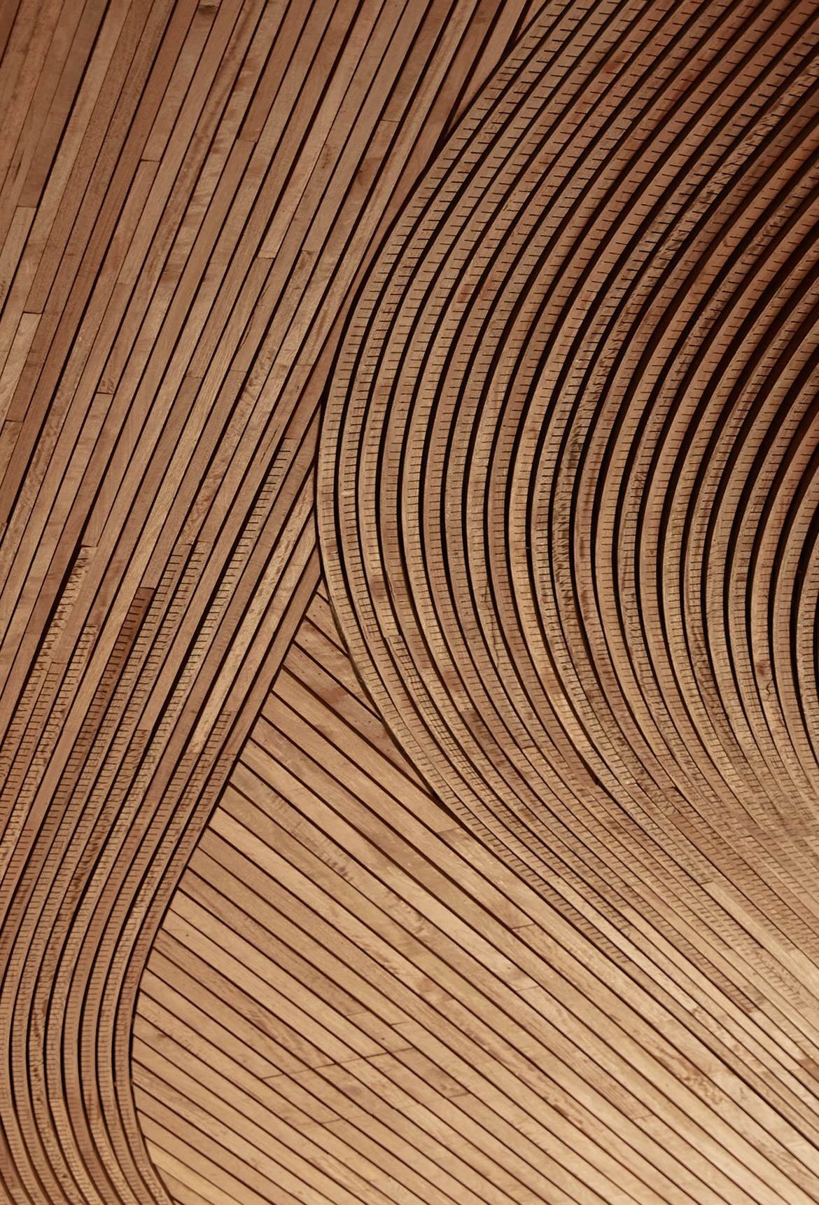 Click-on Battens in Arkadia Apartments