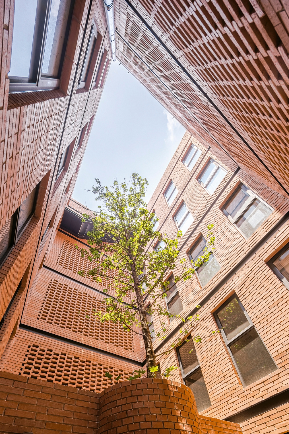 Ladrillo Caravista acabado rústico