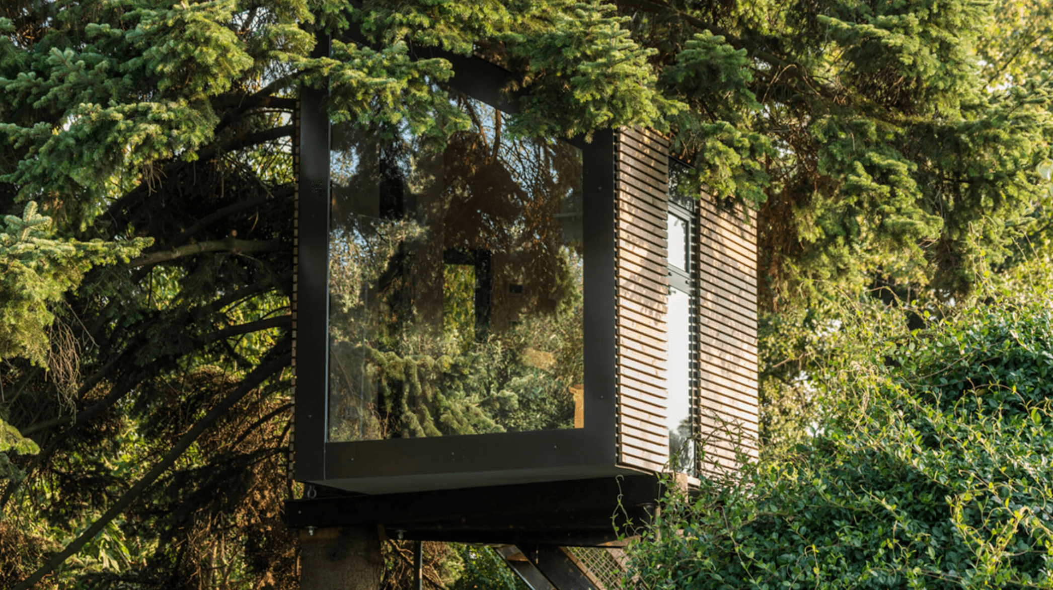 How to Build a Treehouse with Lunawood Thermowood