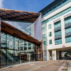 Oxidized Copper: Nordic Brown