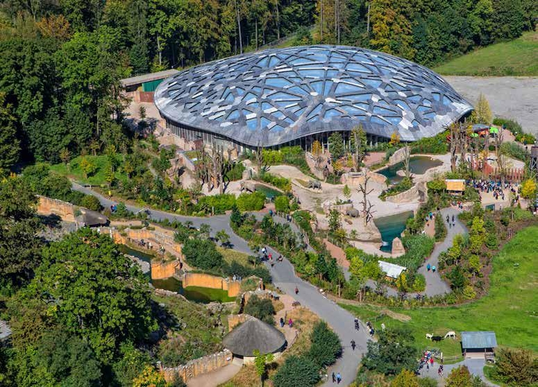 Construction Solutions in Elephant House