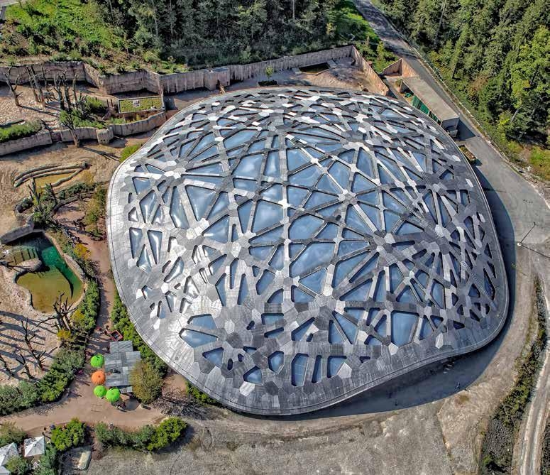 Construction Solutions in Elephant House