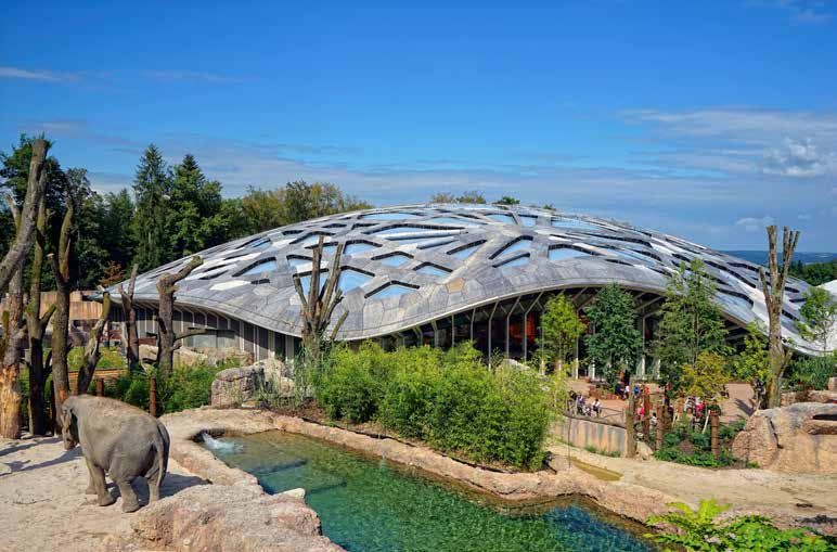 Construction Solutions in Elephant House