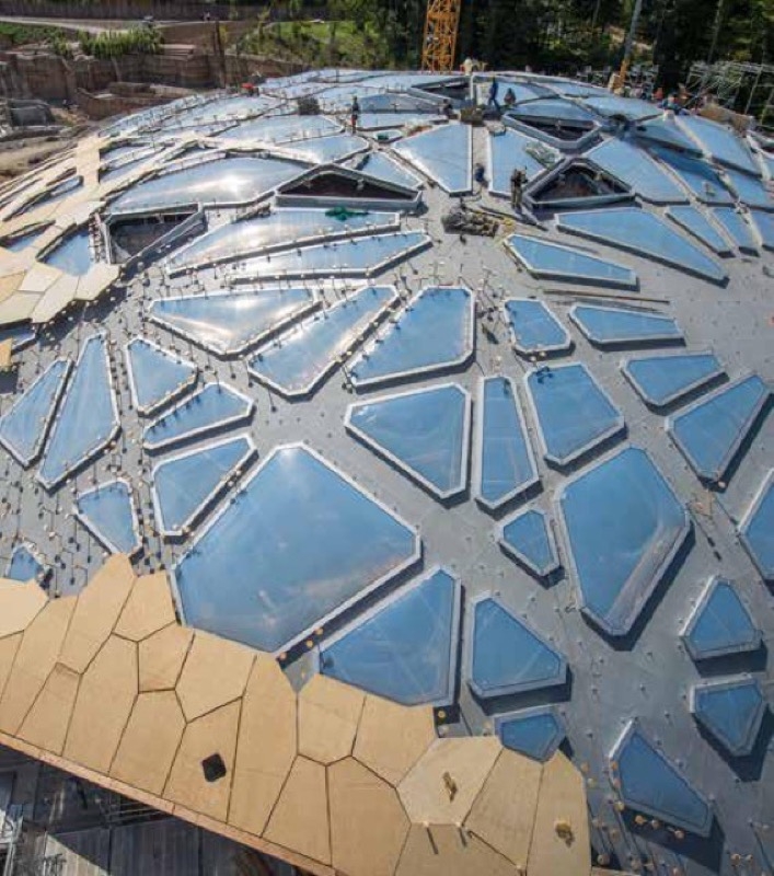 Construction Solutions in Elephant House