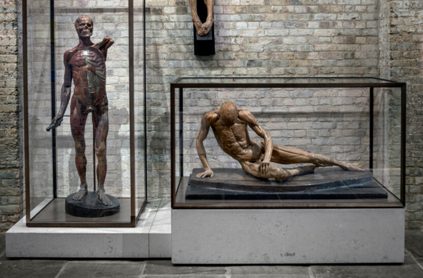 Display Case - U-Class