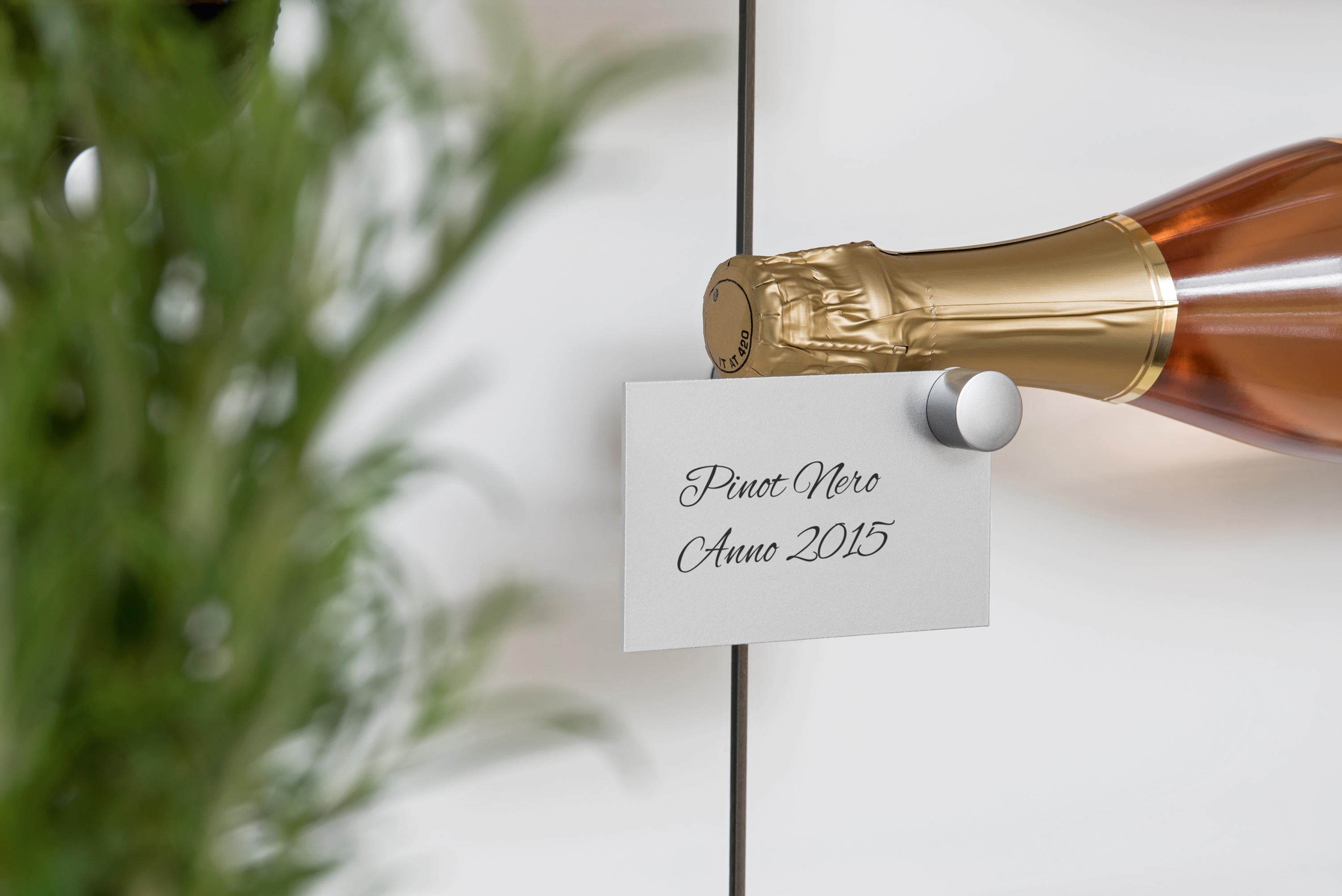 Display System - Pin