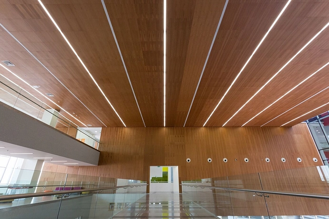 Wood – Veneered Wood Ceiling & Wall Panels