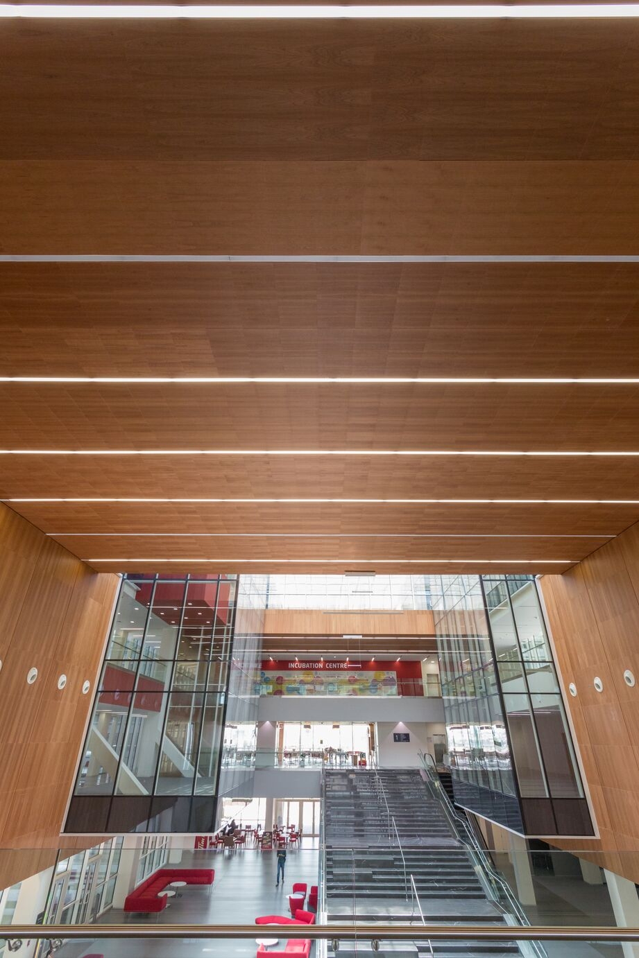 Wood – Veneered Wood Ceiling & Wall Panels