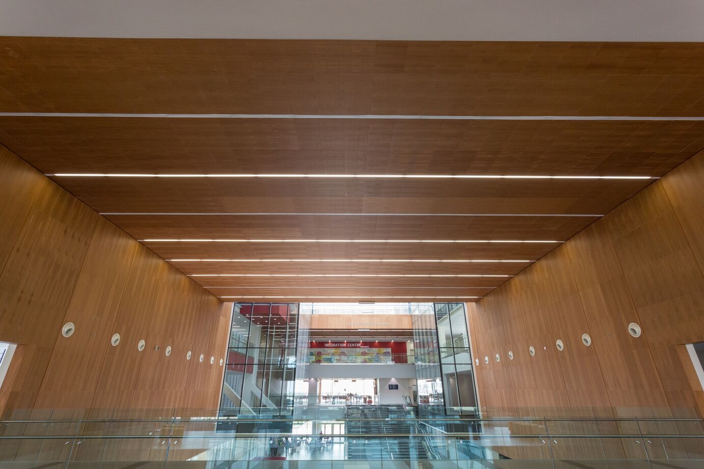 Wood – Veneered Wood Ceiling & Wall Panels