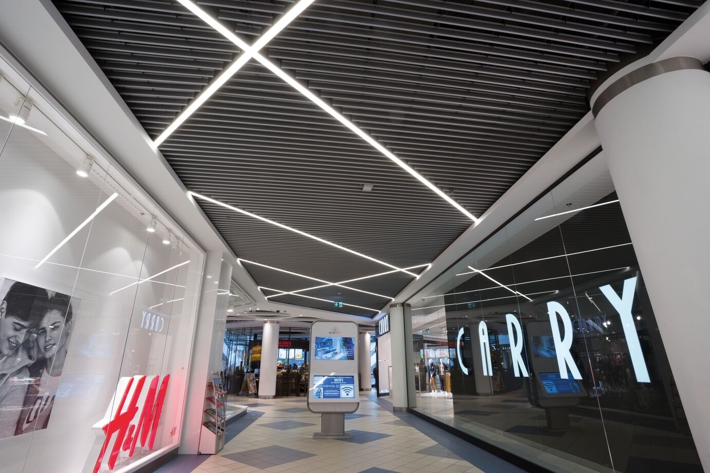 Metal Ceiling – V100 V200