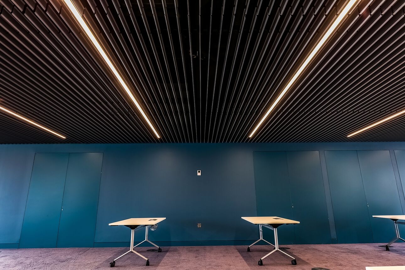 Metal Ceiling – V100 V200