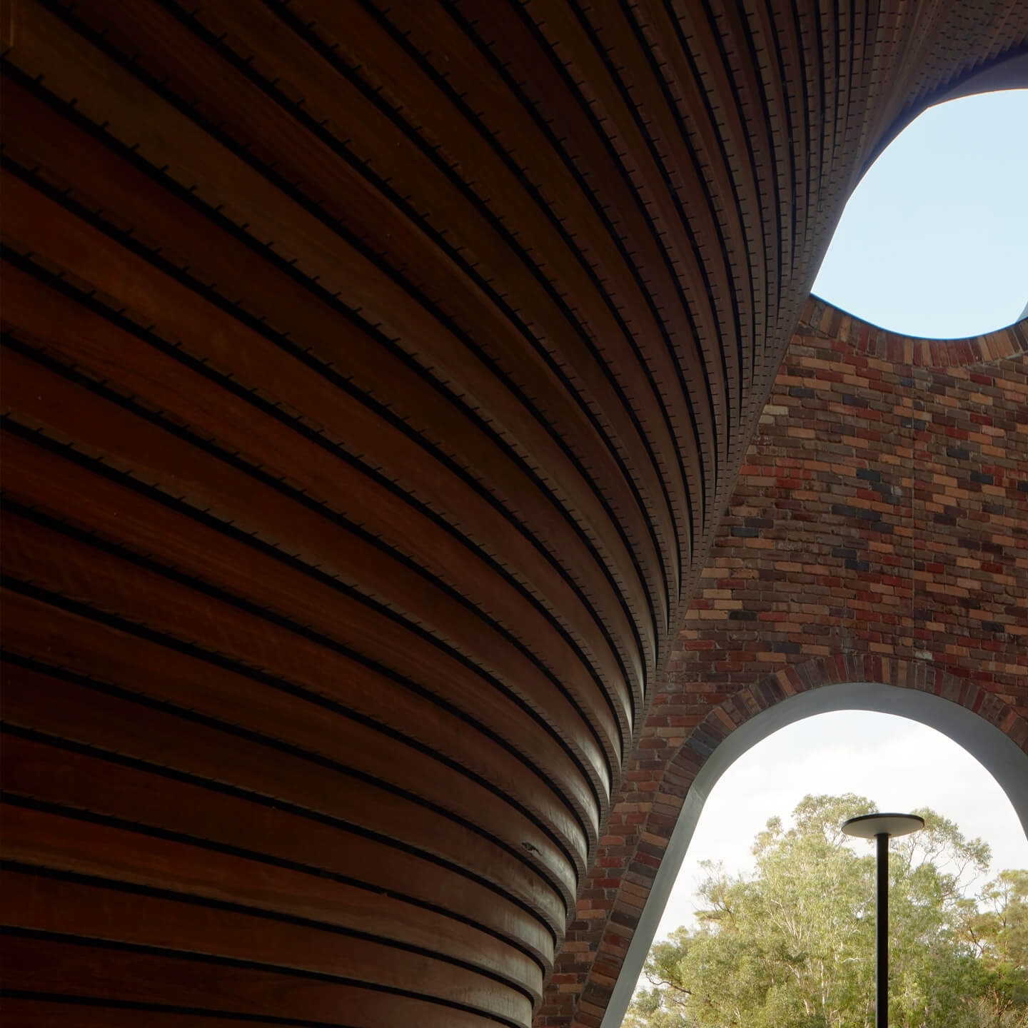 Curved Timber Battens