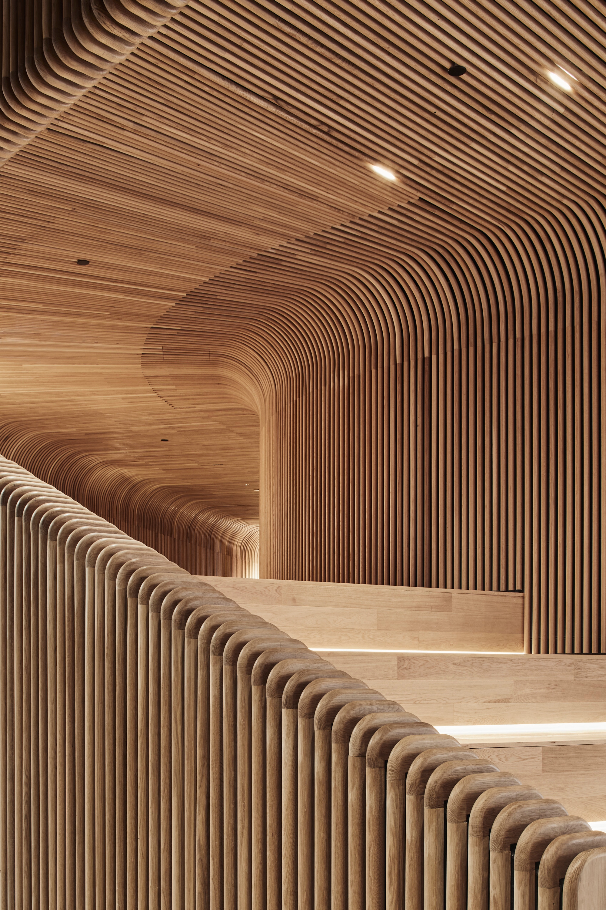 Curved Timber Battens